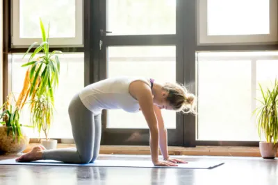 Yoga at home cat pose 2021 08 26 15 32 20 utc 2048x1365